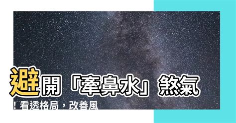 招財鼻|象鼻風水與房屋格局關係